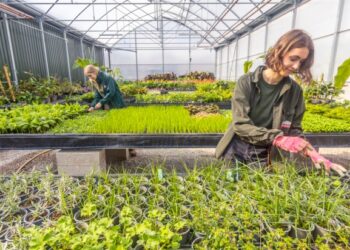 Eden Project heated by geothermal energy for first time since ’80s