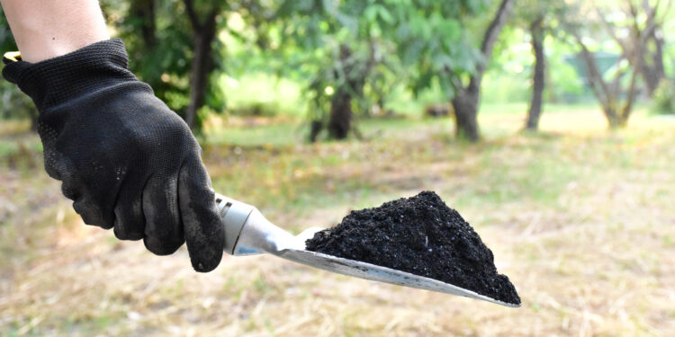 Biochar expert stresses on the importance of practicality in net zero transition