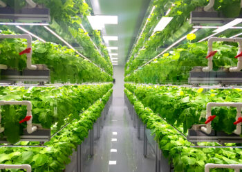 Vertical farms are the climate resilient solution for agriculture, says farming expert