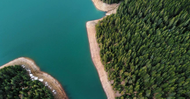 The pros and cons of carbon credits and choosing your portfolio