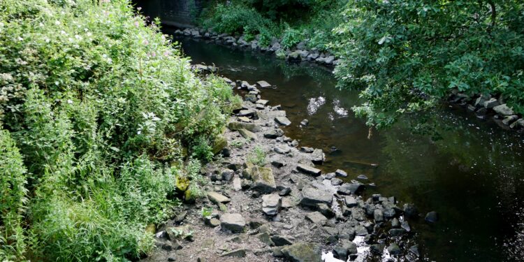 £2.5m boost to protect Yorkshire river from storm overflows