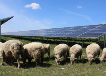 Solar power takes over ex-army bases