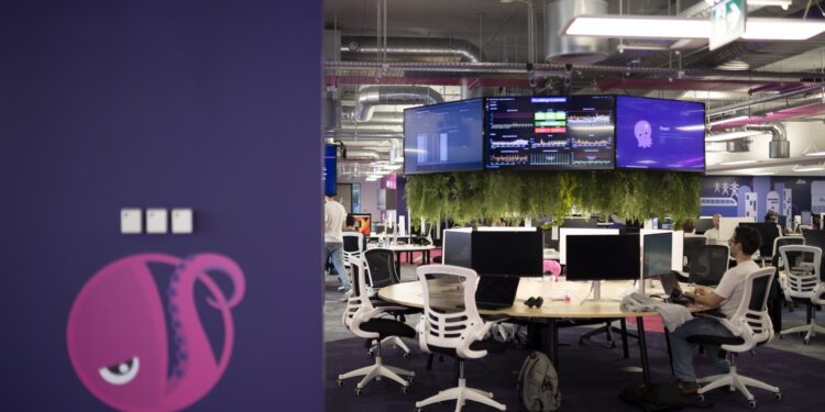 Octopus platform names new boss