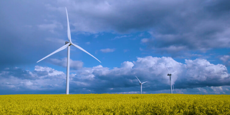 Octopus boosts US solar power expansion