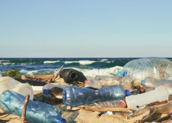 plastic bottles
