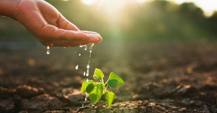 1,600+ businesses, schools, care homes and rugby clubs see water-savings and cost reductions