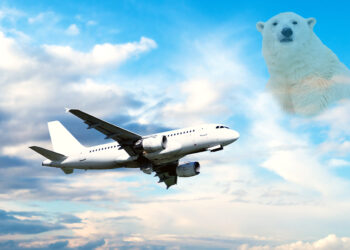 Bear with us, natural de-icers on the way