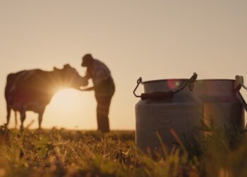 Mars pledges $27m to help dairy farmers slash emissions
