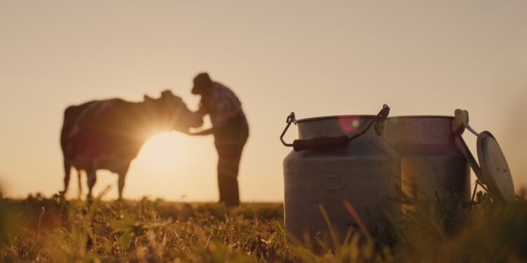 Mars pledges $27m to help dairy farmers slash emissions