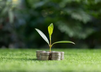 The £25 million interest-free Renewable Rewards fund to help your business achieve NetZero