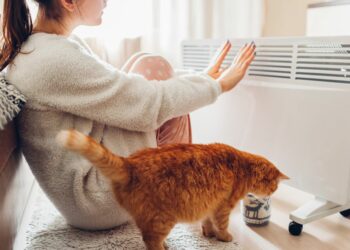One in four overpay for heating by using plug-in heaters