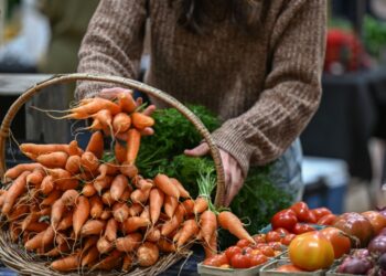 Feeding the future – go local