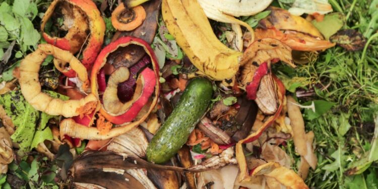 Bins overflowing with fresh fruit and veg waste