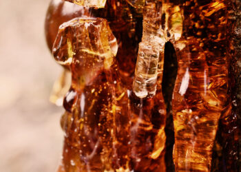 Indian tree gum waste could improve EV charging