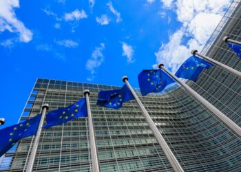 Civil society warns EU: Domestic cuts, not offsets, key to 2040 climate leadership