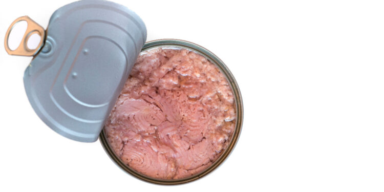 EU court adds pressure on supermarkets over unsustainable tuna
