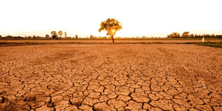 UN drought report offers grim picture