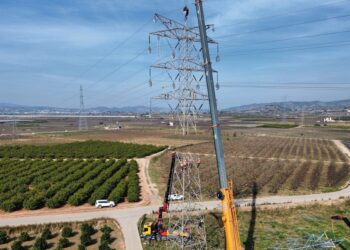 EIB backs Iberdrola with €50m to climate-proof Valencia power grid