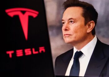 Elon Musk’s Tesla seeks to sell electricity to UK householders