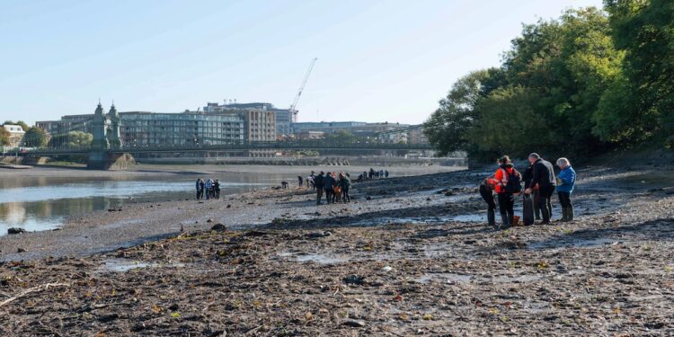 London’s ‘Wet Wipe Island’ to be flushed away in major cleanup