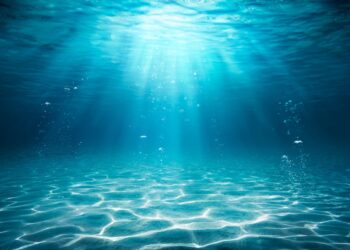 New coalition to accelerate marine CO2 removal launched