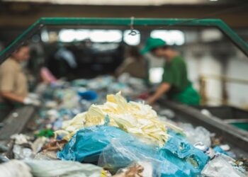 Assembling a greener future: IKEA’s store owner invests in China-based plastics recycler