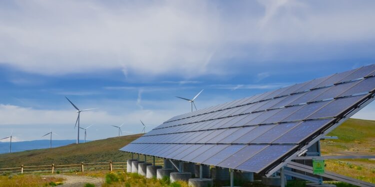 US orders to ‘rein in environmentally damaging’ solar and wind projects