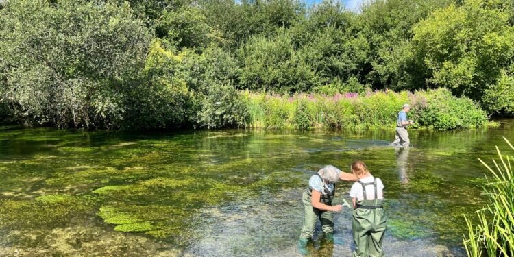 Microplastics and fibreglass found in Hampshire’s rare chalk stream