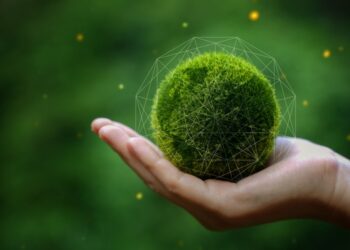 US rowback isn’t stopping global net zero ambition