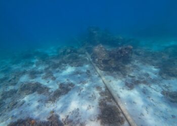Red Sea cable cuts highlight need for subsea resilience
