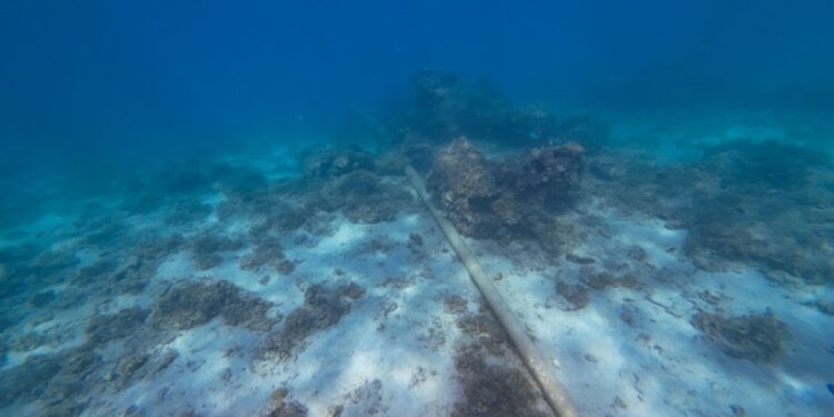 Red Sea cable cuts highlight need for subsea resilience