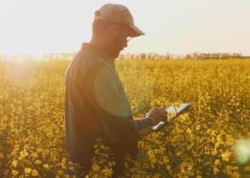 PepsiCo teams with Soil Capital to scale regenerative farming across