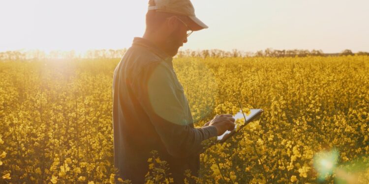 PepsiCo teams with Soil Capital to scale regenerative farming across