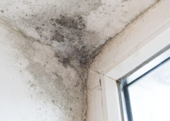 Insulation fitted under ECO a mould ridden disaster
