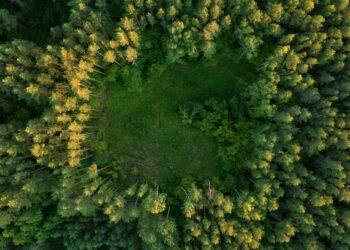 UN launches $100m programme to boost climate and nature action