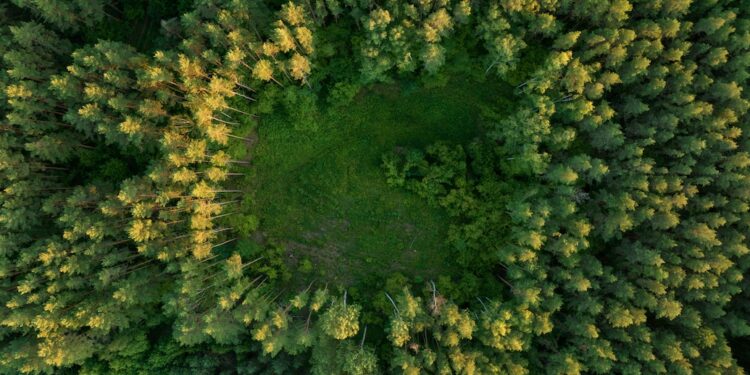 UN launches $100m programme to boost climate and nature action