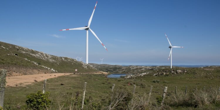 Uruguay’s renewable charge: a small nation’s big lesson