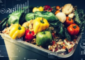 Dynamic digital passports ‘could cut food waste and boost supply chain sustainability’