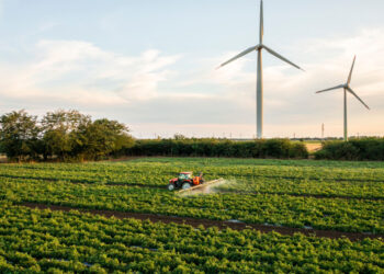 Turbines on farmland can help not hinder nature
