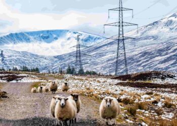 Weather data partnership unlocks capacity and cuts costs on GB transmission network