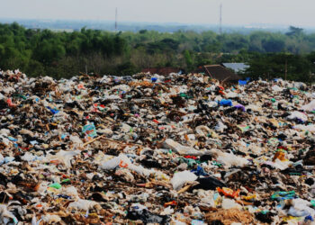 Beauty spot trashed by waste criminals