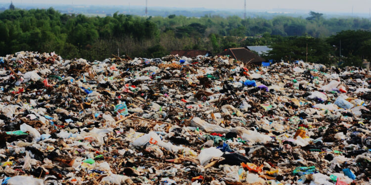 Beauty spot trashed by waste criminals