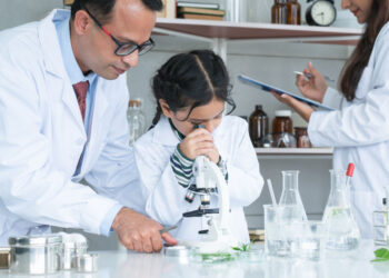 Real-world lessons vital for sustainability education, say Royal Society of Chemistry