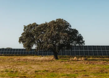 Statkraft consults on 500MW solar farm in East Yorkshire