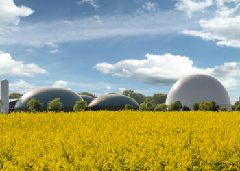 EU project turns biogas into hydrogen and carbon for low-carbon future