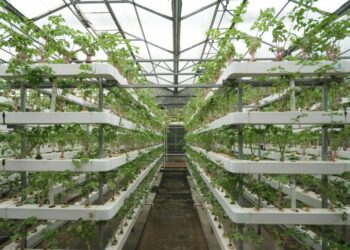 From robots to seagrass Ofgem offers £22m for energy innovation