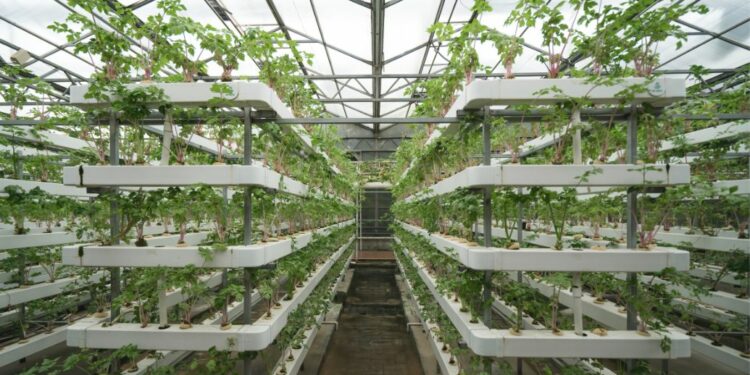 From robots to seagrass Ofgem offers £22m for energy innovation