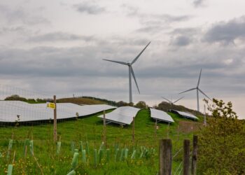 EDF backs flexibility revolution