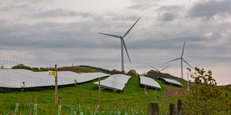 EDF backs flexibility revolution