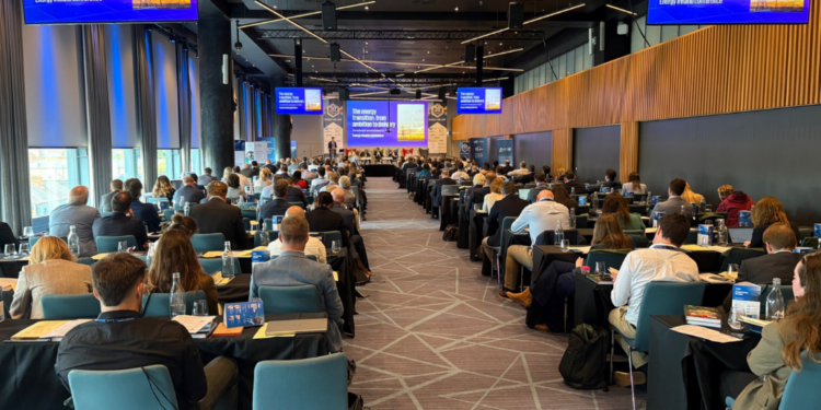 Energy Ireland – The Geoeconomics of Carbon Neutrality and Grid Modernisation